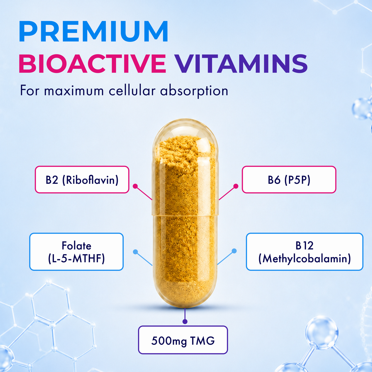 BioActive B Complex With TMG - image 3