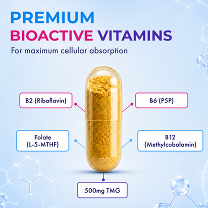 BioActive B Complex With TMG - image 3